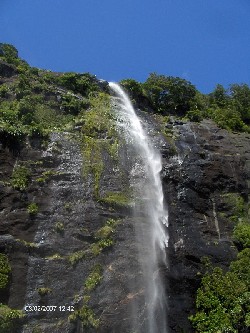 Reise 2007 - Dunedin