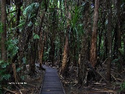 Reise 2007 - Cairns