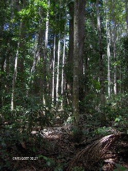 Reise 2007 - Frazer Island