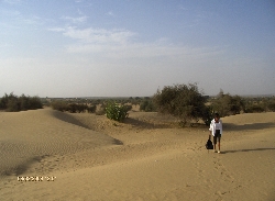 Reise 2008 -Abenteuer Indien